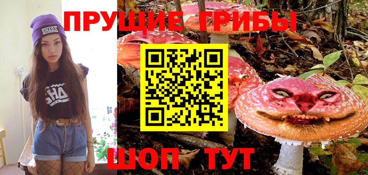Псилоцибиновые грибы прущие грибы Карабулак
