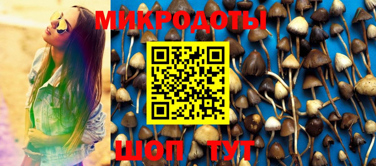 Карабулак  Псилоцибиновые грибы GOLDEN TEACHER  Вход с VPN  Галлюциногенные грибы Psilocybine cubensis 