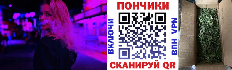 цена   Карабулак  Конопля гибрид 